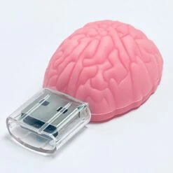 USB Pendrive Mini-órganos 32 Gb -Enfermania usb pendrive mini organos 32 gb 2